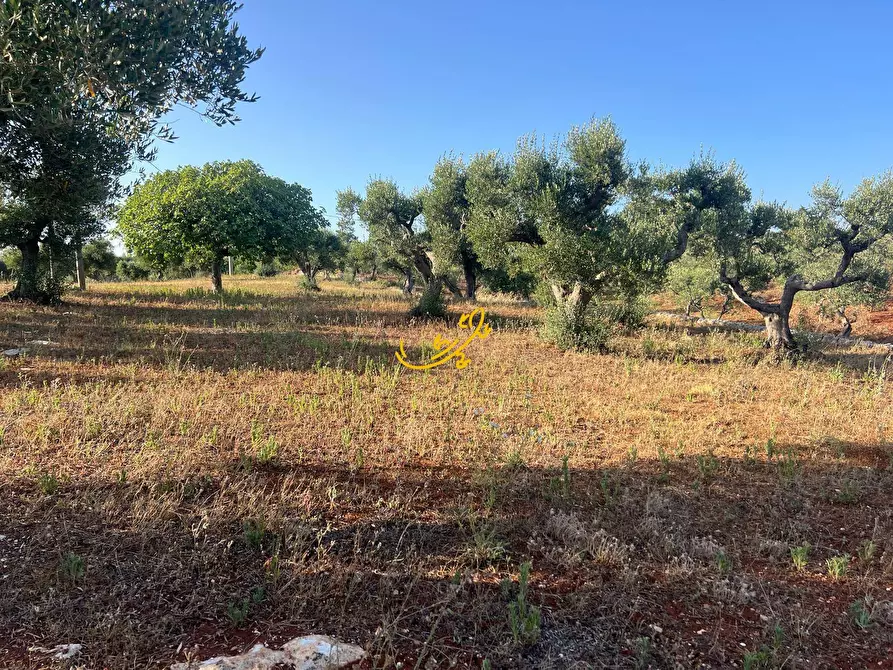 Immagine 4 di Baita in vendita  in Str. Capo di Gallo Zippo a Martina Franca