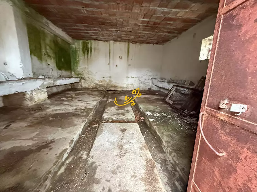 Immagine 21 di Rustico / casale in vendita  in C.Da Raschizzo a Alberobello