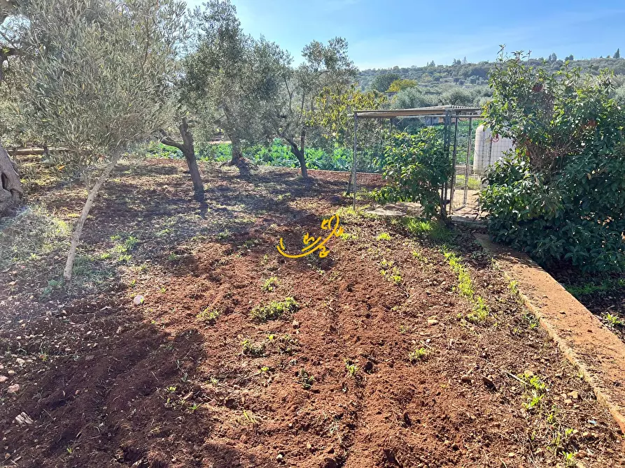 Immagine 34 di Villa in vendita  in C.Da San Gerardo a Monopoli