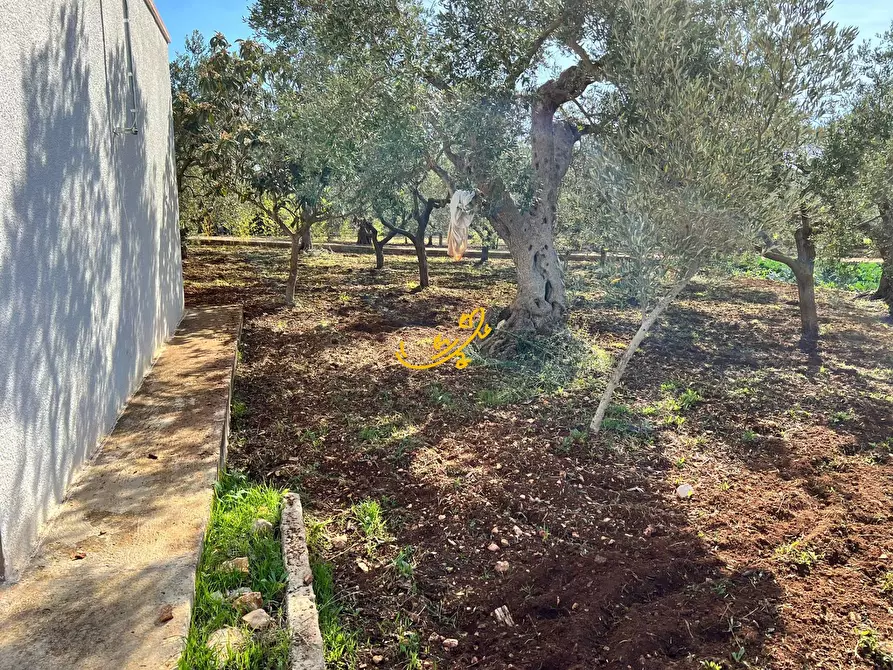 Immagine 33 di Villa in vendita  in C.Da San Gerardo a Monopoli