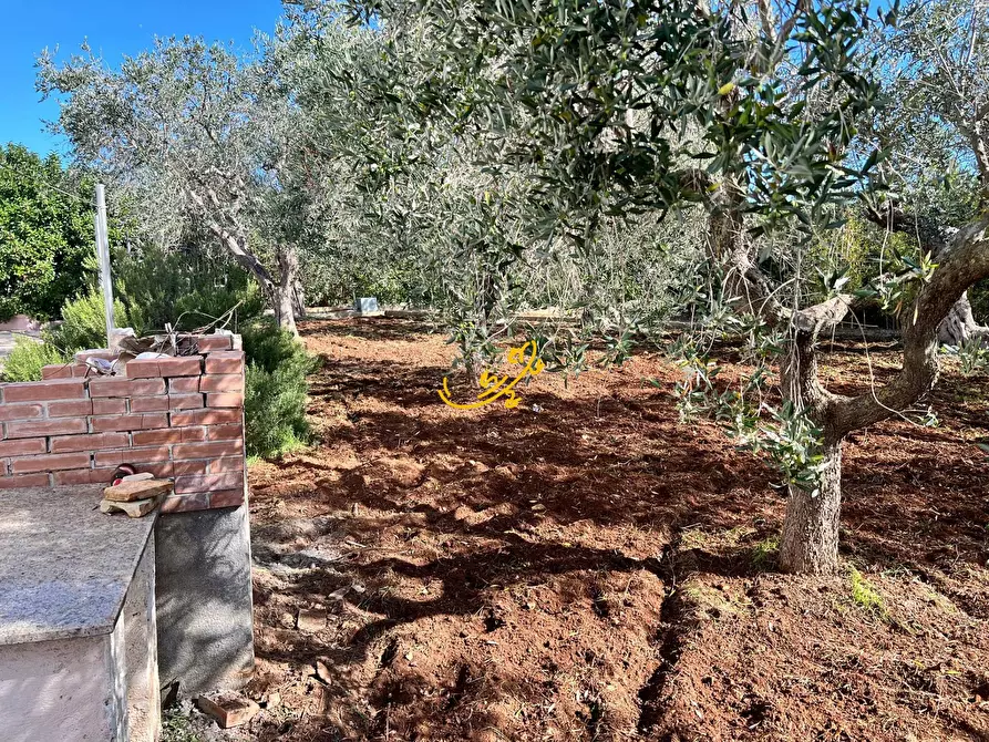 Immagine 31 di Villa in vendita  in C.Da San Gerardo a Monopoli