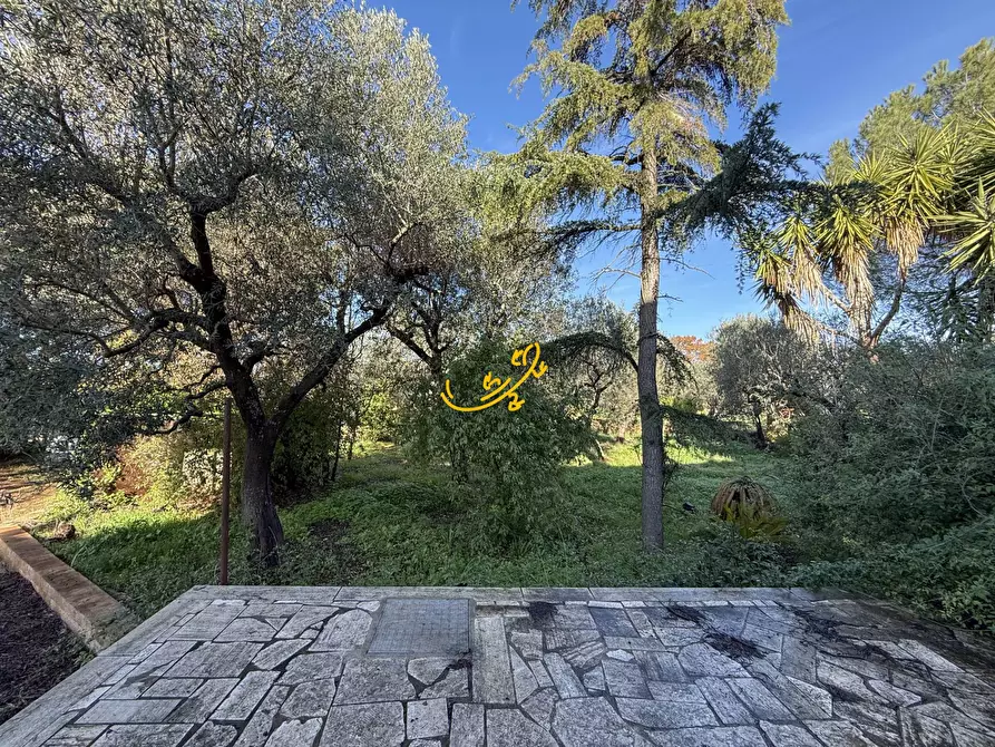 Immagine 5 di Villa in vendita  in Contrada Tavarello a Monopoli