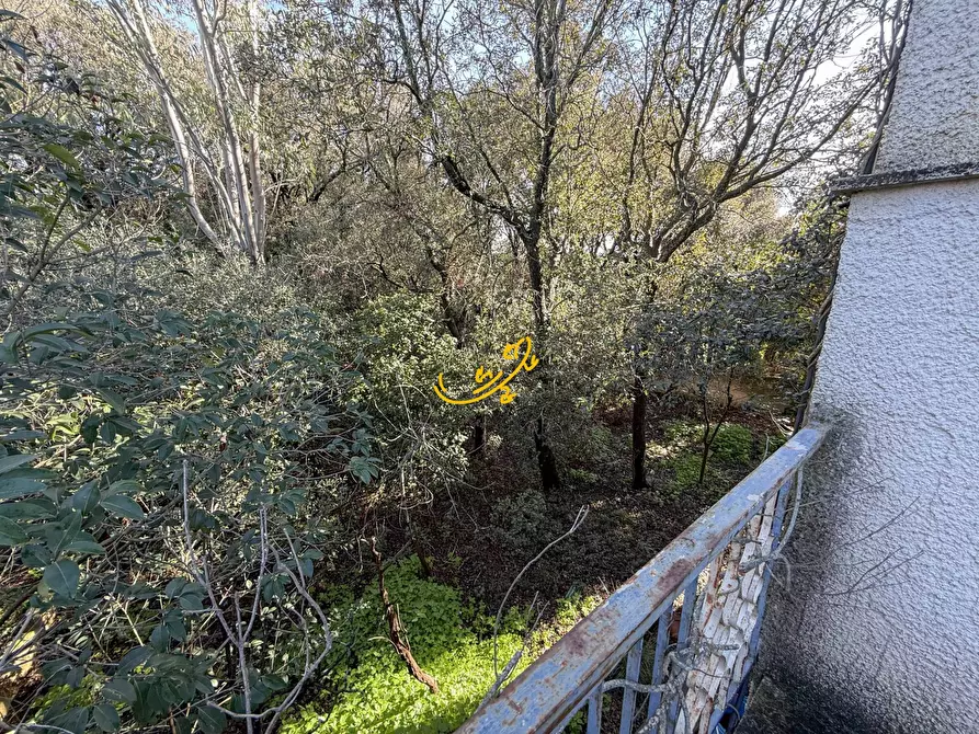 Immagine 7 di Villa in vendita  in Contrada Tavarello a Monopoli