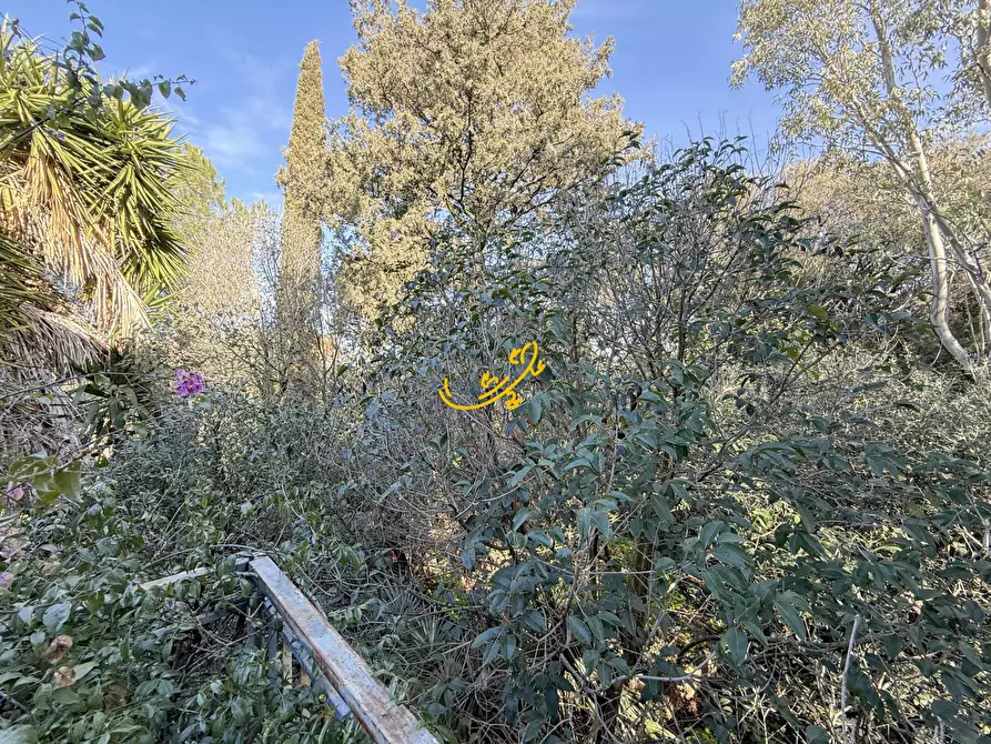 Immagine 9 di Villa in vendita  in Contrada Tavarello a Monopoli