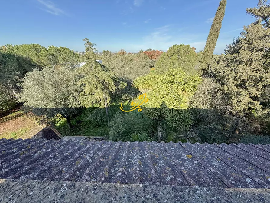 Immagine 35 di Villa in vendita  in Contrada Tavarello a Monopoli