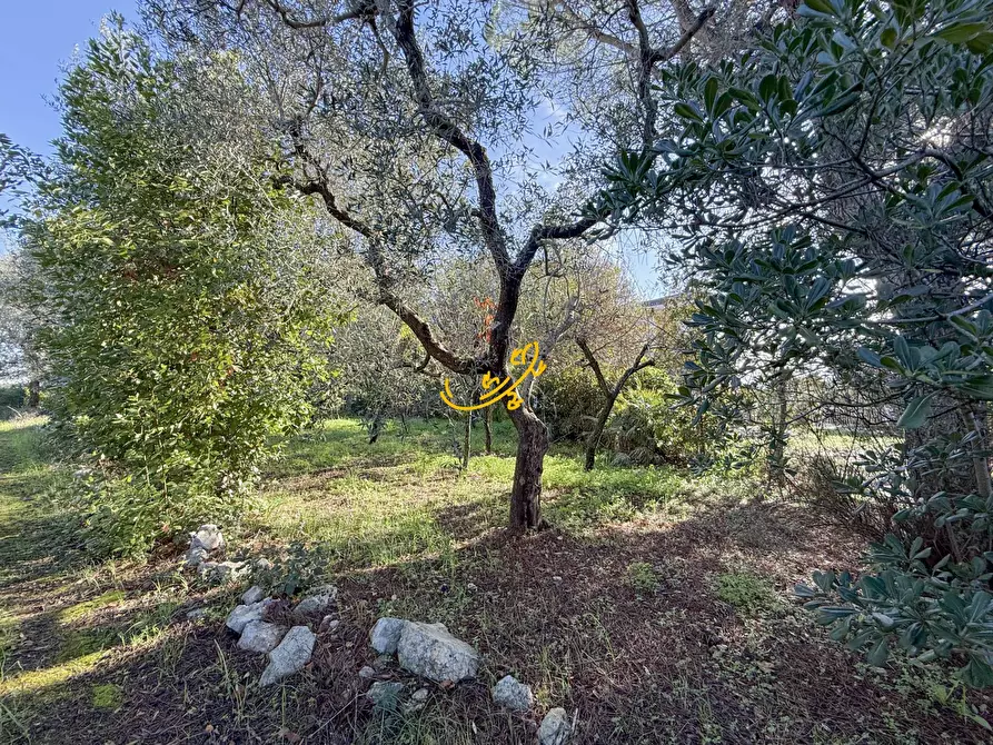 Immagine 47 di Villa in vendita  in Contrada Tavarello a Monopoli