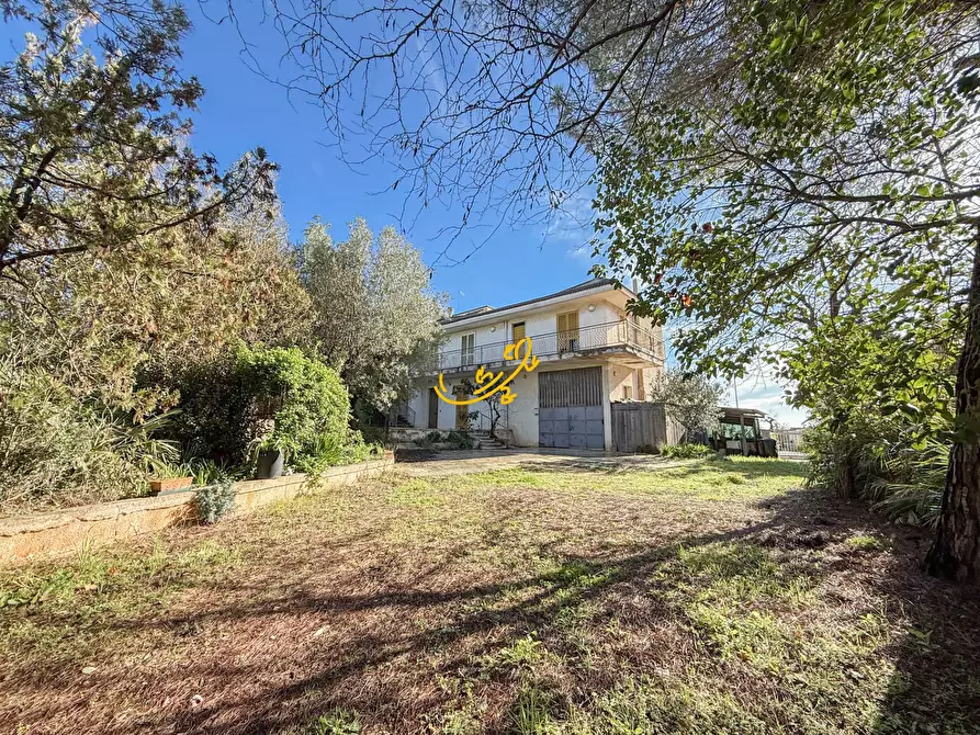 Immagine 48 di Villa in vendita  in Contrada Tavarello a Monopoli