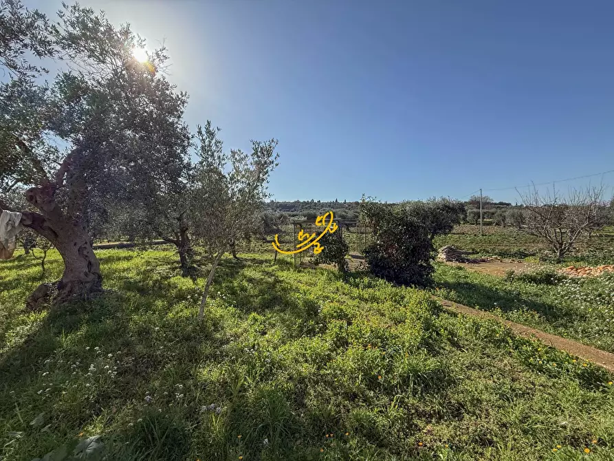 Immagine 30 di Villa in vendita  in C.Da San Gerardo a Monopoli