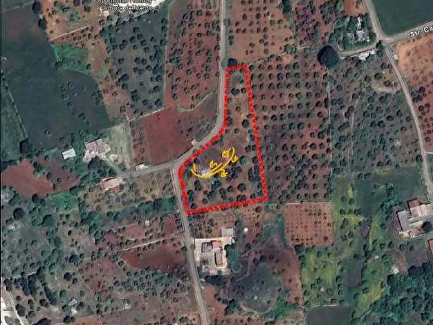 Immagine 15 di Baita in vendita  in Str. Capo di Gallo Zippo a Martina Franca