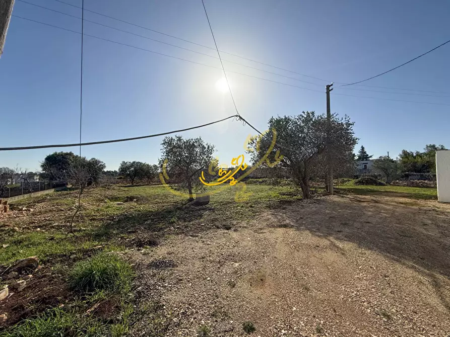 Immagine 25 di Villa in vendita  in Contrada Santasciano a Polignano A Mare