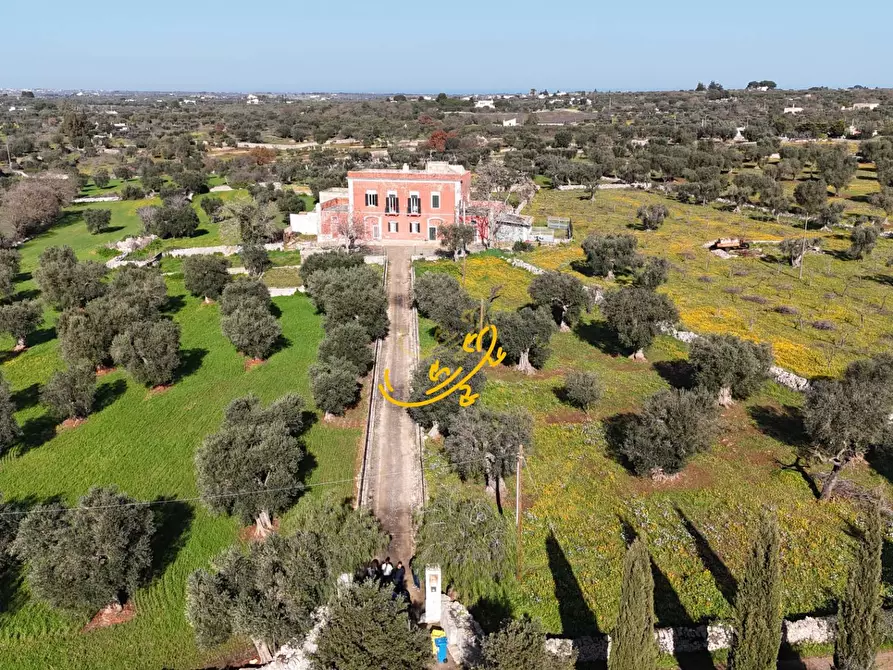 Immagine 5 di Rustico / casale in vendita  in S.C. Santo Stefano a Castellana Grotte
