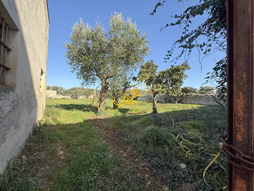 Immagine 16 di Rustico / casale in vendita  in S.C. Santo Stefano a Castellana Grotte