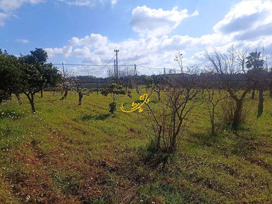 Immagine 41 di Villa in vendita  in Via Cozze a Conversano