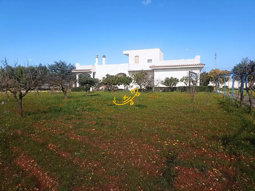 Immagine 43 di Villa in vendita  in Via Cozze a Conversano
