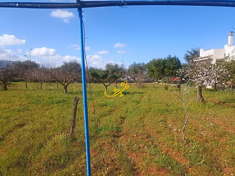 Immagine 47 di Villa in vendita  in Via Cozze a Conversano