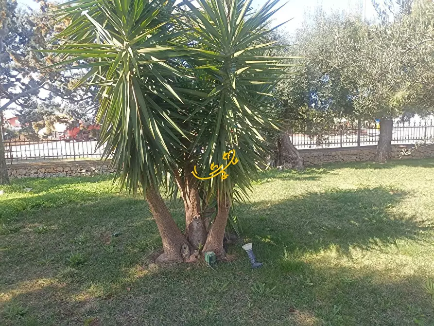 Immagine 63 di Villa in vendita  in Via Cozze a Conversano