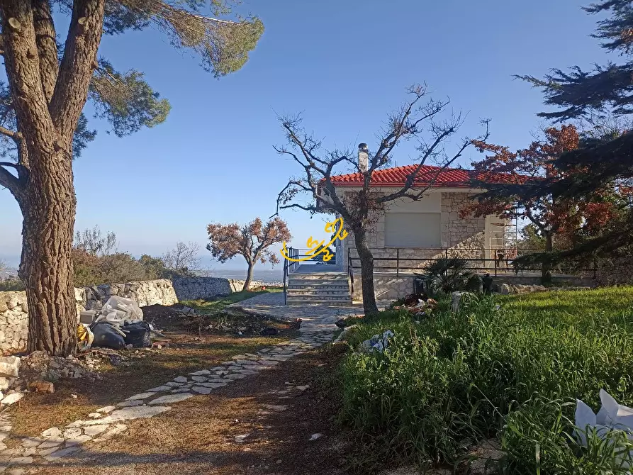 Immagine 23 di Villa in vendita  in Contrada Tumbinno a Adelfia