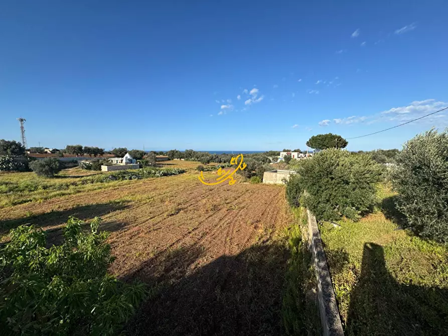 Immagine 4 di Villa in vendita  in Via Conversano a Polignano A Mare