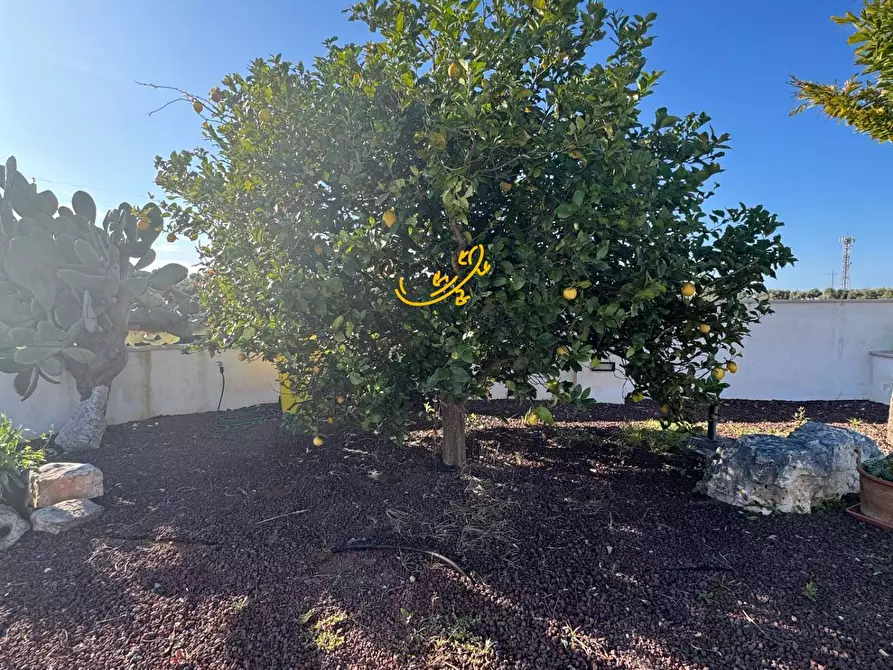 Immagine 44 di Villa in vendita  in Via Conversano a Polignano A Mare