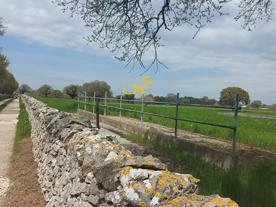 Immagine 8 di Villa in vendita  in Zona D a Noci