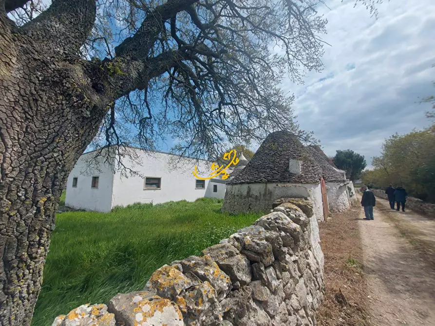 Immagine 7 di Villa in vendita  in Zona D a Noci
