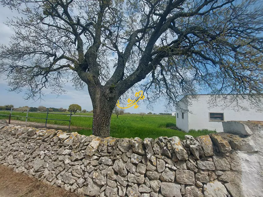 Immagine 9 di Villa in vendita  in Zona D a Noci