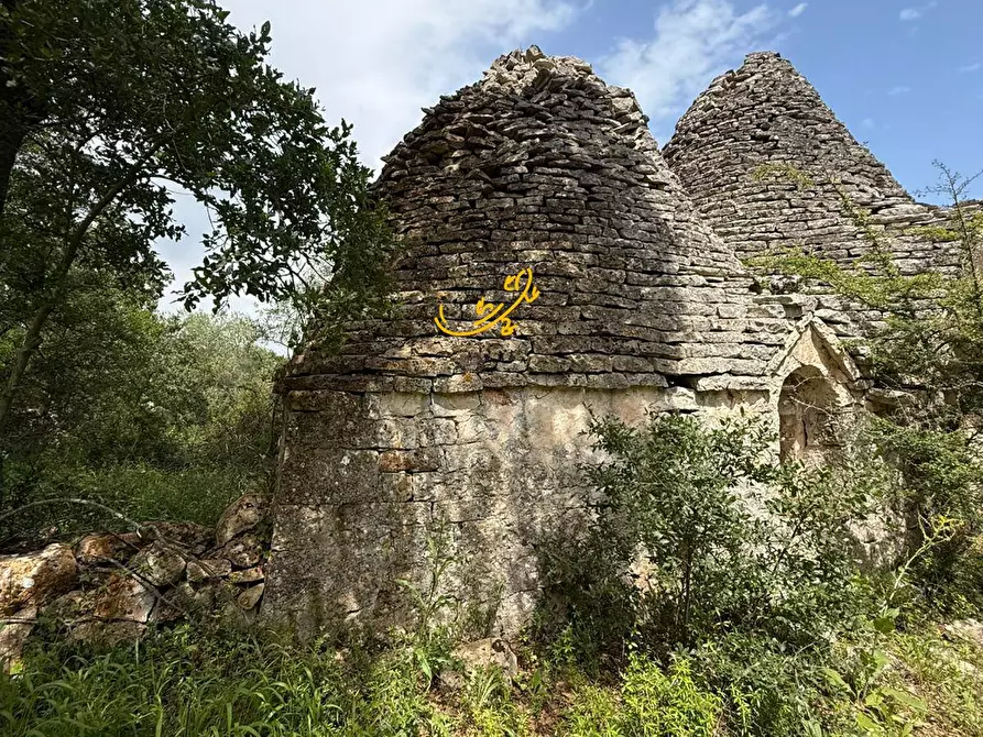 Immagine 2 di Baita in vendita  in S.V Marchione a Monopoli