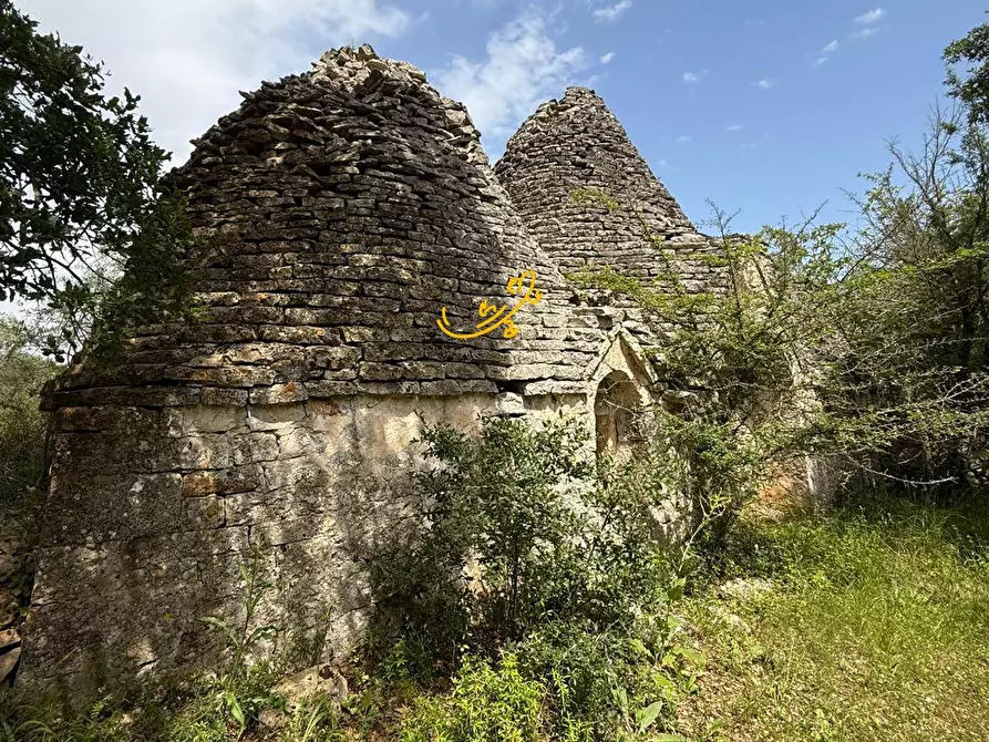 Immagine 3 di Baita in vendita  in S.V Marchione a Monopoli