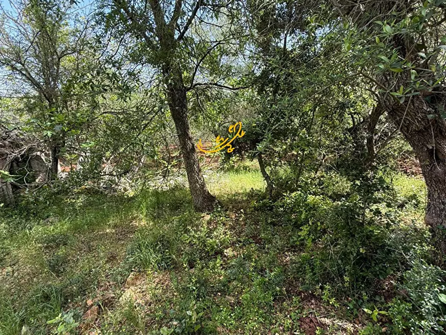 Immagine 12 di Baita in vendita  in S.V Marchione a Monopoli