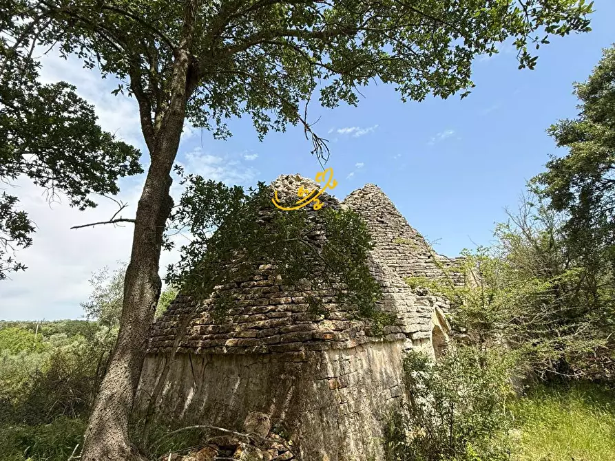 Immagine 17 di Baita in vendita  in S.V Marchione a Monopoli