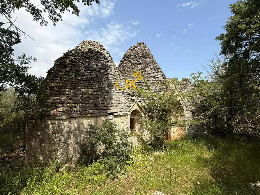 Immagine 18 di Baita in vendita  in S.V Marchione a Monopoli