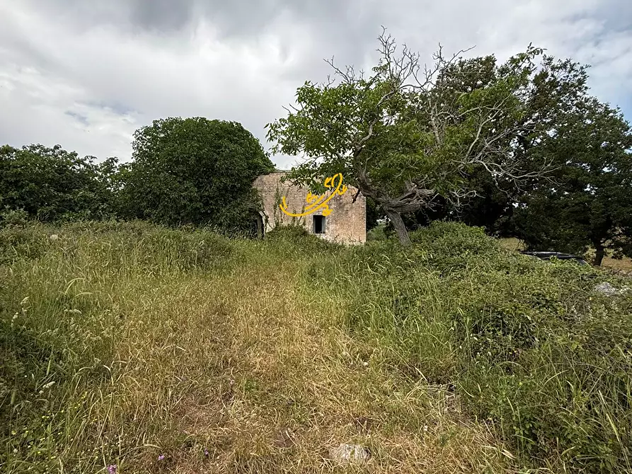 Immagine 7 di Rustico / casale in vendita  in C.da Paretano a Monopoli