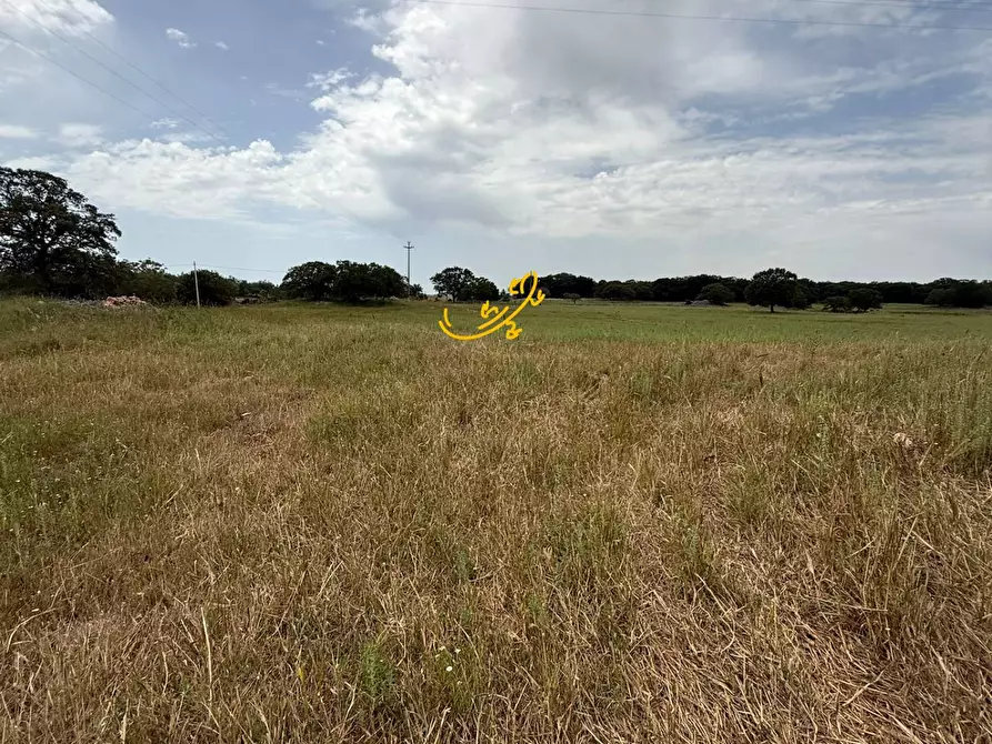 Immagine 8 di Rustico / casale in vendita  in C.da Paretano a Monopoli