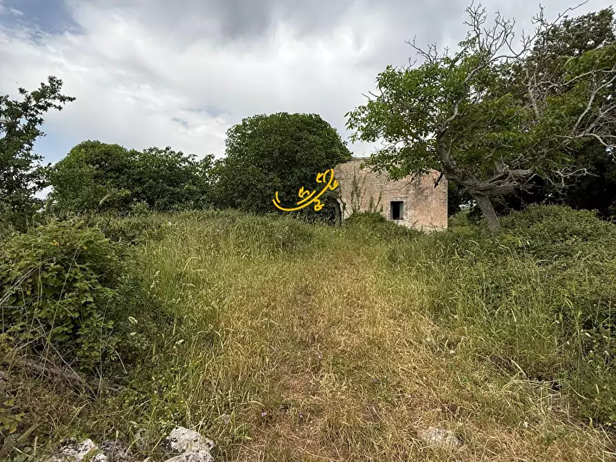 Immagine 9 di Rustico / casale in vendita  in C.da Paretano a Monopoli