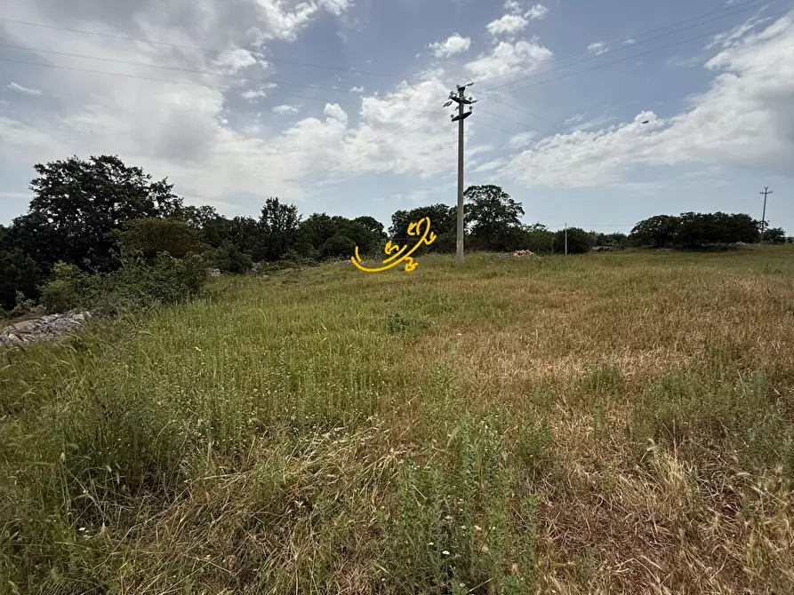 Immagine 10 di Rustico / casale in vendita  in C.da Paretano a Monopoli