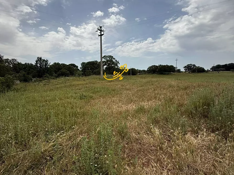 Immagine 11 di Rustico / casale in vendita  in C.da Paretano a Monopoli