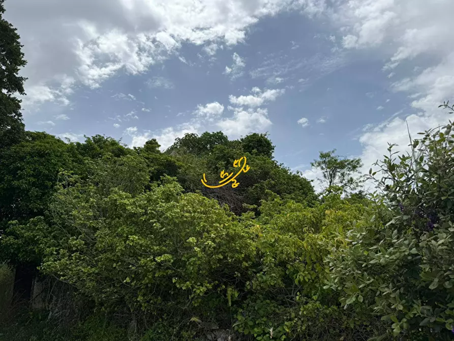 Immagine 3 di Rustico / casale in vendita  in C.da Paretano a Monopoli