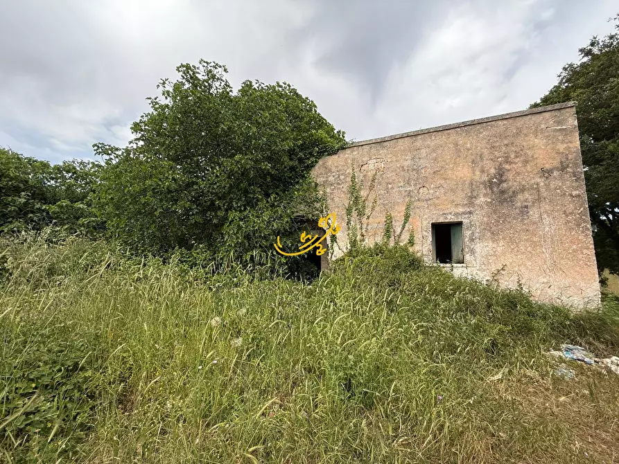 Immagine 2 di Rustico / casale in vendita  in C.da Paretano a Monopoli