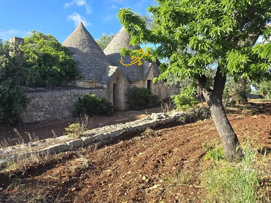 Immagine 6 di Baita in vendita  in S.C. Montaltino a Polignano A Mare