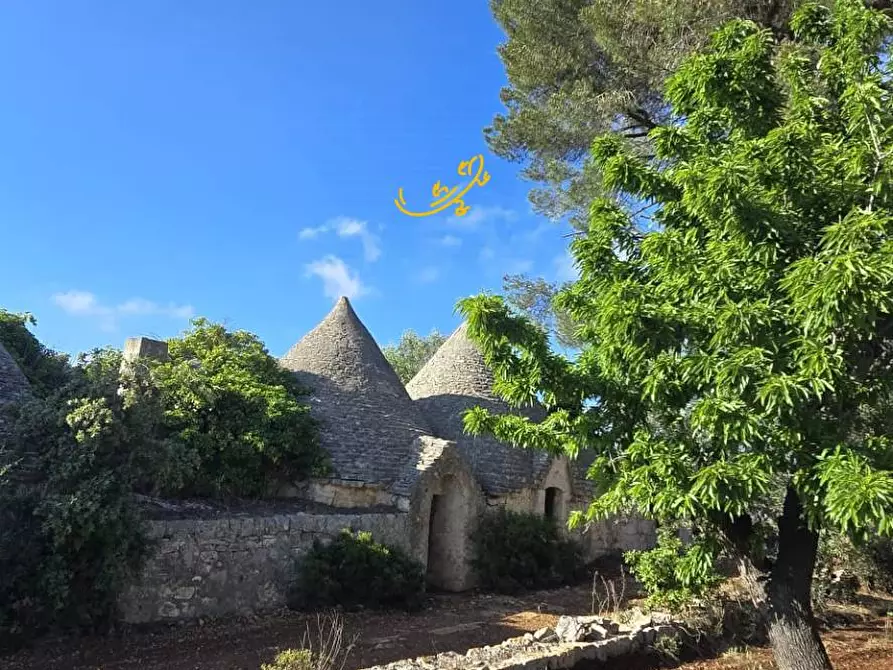 Immagine 8 di Baita in vendita  in S.C. Montaltino a Polignano A Mare