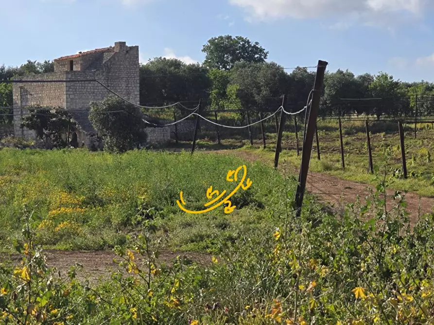 Immagine 17 di Baita in vendita  in S.C. Montaltino a Polignano A Mare