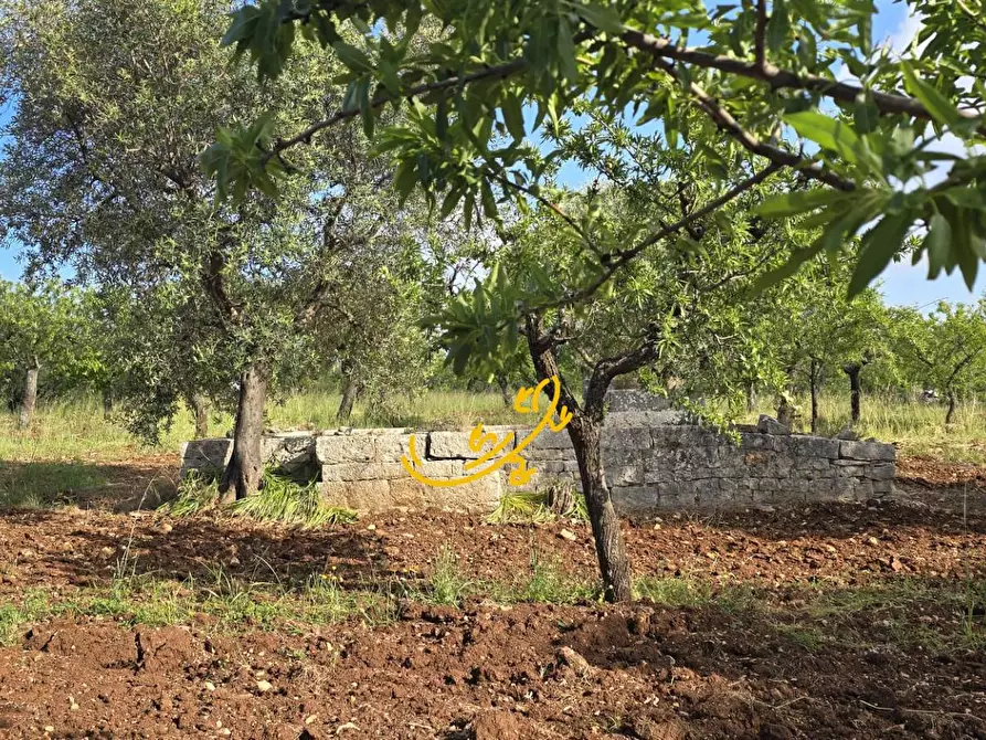 Immagine 16 di Baita in vendita  in S.C. Montaltino a Polignano A Mare