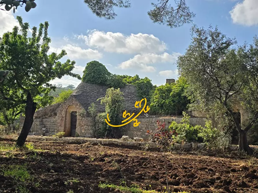 Immagine 11 di Baita in vendita  in S.C. Montaltino a Polignano A Mare