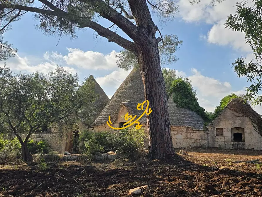 Immagine 12 di Baita in vendita  in S.C. Montaltino a Polignano A Mare