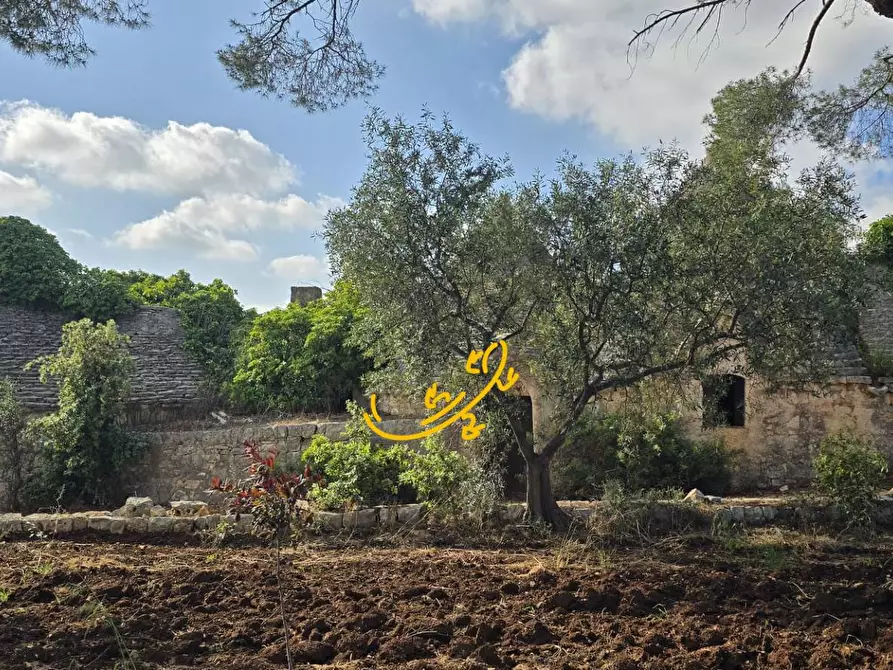 Immagine 15 di Baita in vendita  in S.C. Montaltino a Polignano A Mare