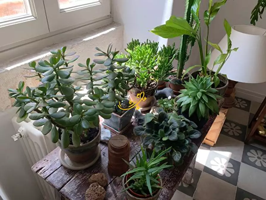 Immagine 60 di Appartamento in vendita  in Via Forno Santo Stefano a Putignano