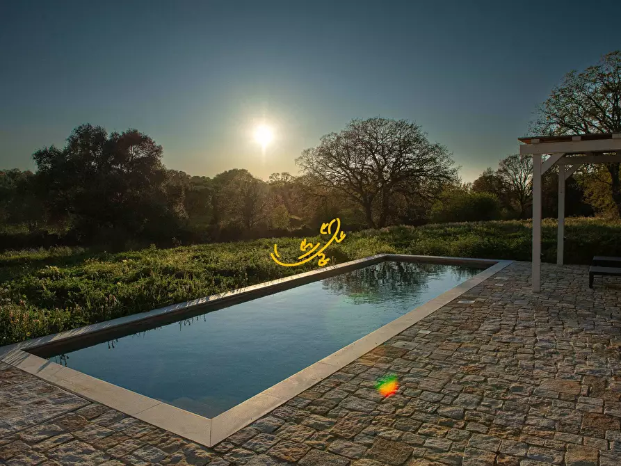 Immagine 9 di Rustico / casale in vendita  in C.da Cervarulo a Monopoli