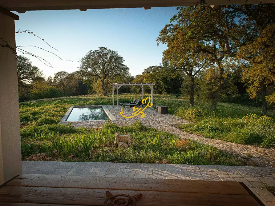 Immagine 13 di Rustico / casale in vendita  in C.da Cervarulo a Monopoli