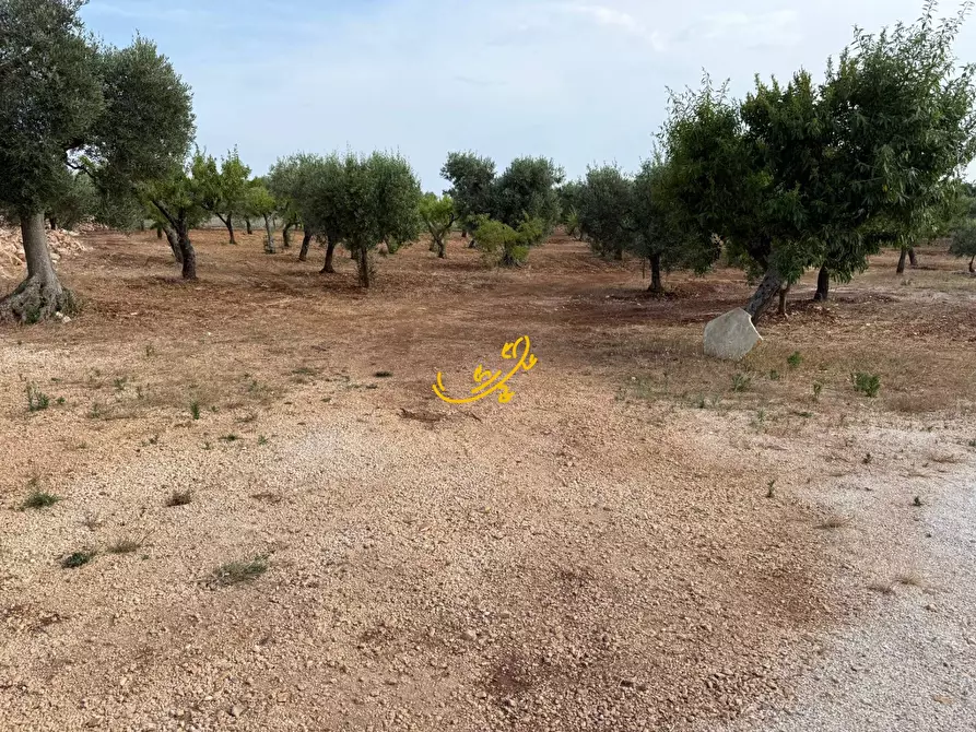 Immagine 3 di Baita in vendita  in C.da Marchione a Castellana Grotte