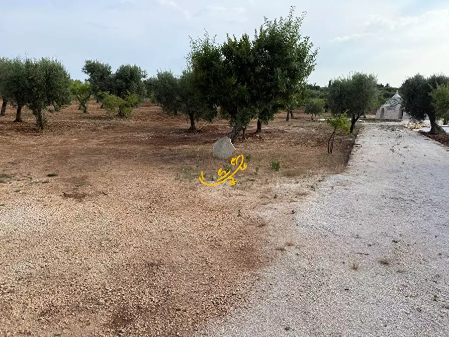 Immagine 4 di Baita in vendita  in C.da Marchione a Castellana Grotte